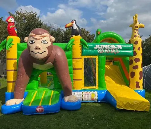 Jungle safari