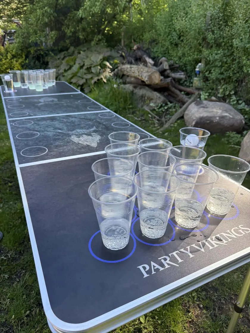 Beer pong bord 1